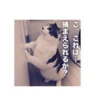 ミエルの日常vol.1（個別スタンプ：28）