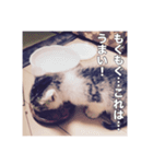 ミエルの日常vol.1（個別スタンプ：30）