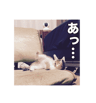 ミエルの日常vol.1（個別スタンプ：32）