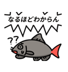 レッドテールブラックシャーク（個別スタンプ：9）