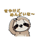 今日のナマケモノ(大阪弁バージョン)（個別スタンプ：39）