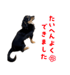 チワックスのえるぽよぴーなつものがたり（個別スタンプ：7）