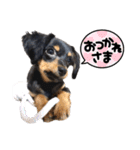 チワックスのえるぽよぴーなつものがたり（個別スタンプ：13）