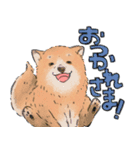 ハイジ スタンプ（個別スタンプ：31）