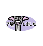 省スペースで使いやすいイタグレ達スタンプ（個別スタンプ：10）