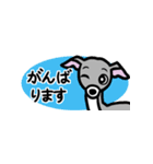 省スペースで使いやすいイタグレ達スタンプ（個別スタンプ：11）
