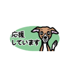 省スペースで使いやすいイタグレ達スタンプ（個別スタンプ：12）