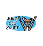 省スペースで使いやすいイタグレ達スタンプ（個別スタンプ：18）
