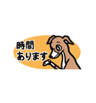 省スペースで使いやすいイタグレ達スタンプ（個別スタンプ：21）