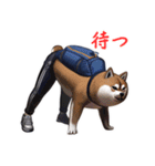 柴犬ジャージ（個別スタンプ：1）