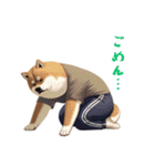柴犬ジャージ（個別スタンプ：8）