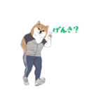 柴犬ジャージ（個別スタンプ：11）