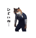 柴犬ジャージ（個別スタンプ：13）