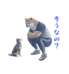 柴犬ジャージ（個別スタンプ：15）