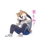柴犬ジャージ（個別スタンプ：16）