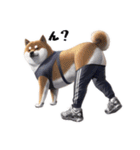 柴犬ジャージ（個別スタンプ：19）