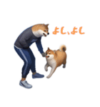 柴犬ジャージ（個別スタンプ：20）