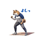柴犬ジャージ（個別スタンプ：25）