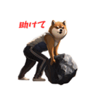 柴犬ジャージ（個別スタンプ：27）