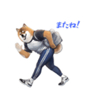 柴犬ジャージ（個別スタンプ：29）