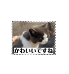 猫のダム③（個別スタンプ：14）