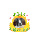 パワフル！ヨウヨウ！（個別スタンプ：6）