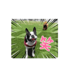 パワフル！ヨウヨウ！（個別スタンプ：11）
