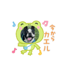 パワフル！ヨウヨウ！（個別スタンプ：12）
