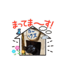 うごく♪ミリンとラック時々ワンタン（個別スタンプ：15）