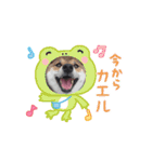 動く姫ちゃん夢ちゃん5（個別スタンプ：5）