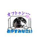 動く姫ちゃん夢ちゃん5（個別スタンプ：6）
