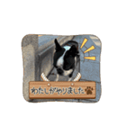 ヨウイチローセレクション♡（個別スタンプ：9）