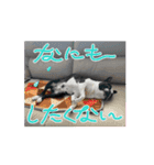 ヨウイチローセレクション♡（個別スタンプ：15）