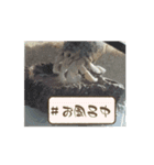 オカヤドカリのくもちゃん（個別スタンプ：10）