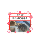 オカヤドカリのくもちゃん（個別スタンプ：14）