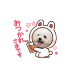 マルプーのおもちと猫のにゃこた2（個別スタンプ：4）