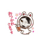 マルプーのおもちと猫のにゃこた2（個別スタンプ：5）