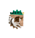 レオの休日❗️（個別スタンプ：4）