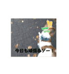 レオの休日❗️（個別スタンプ：13）