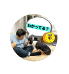 ボストンテリアのヨウちゃんだょ☆（個別スタンプ：5）