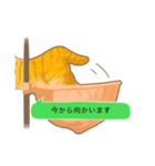 tidaスタンプ（ハンモック編②）（個別スタンプ：10）