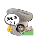 ぷーちゃん2024-2025（個別スタンプ：4）