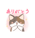 日常で使える！いろいろねこちゃんスタンプ（個別スタンプ：2）