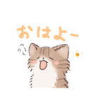 日常で使える！いろいろねこちゃんスタンプ（個別スタンプ：8）