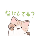 日常で使える！いろいろねこちゃんスタンプ（個別スタンプ：11）
