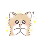 日常で使える！いろいろねこちゃんスタンプ（個別スタンプ：12）