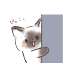 日常で使える！いろいろねこちゃんスタンプ（個別スタンプ：13）