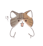 日常で使える！いろいろねこちゃんスタンプ（個別スタンプ：16）