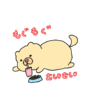 チャウチャウのこゆぞう3（個別スタンプ：3）