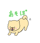チャウチャウのこゆぞう3（個別スタンプ：5）